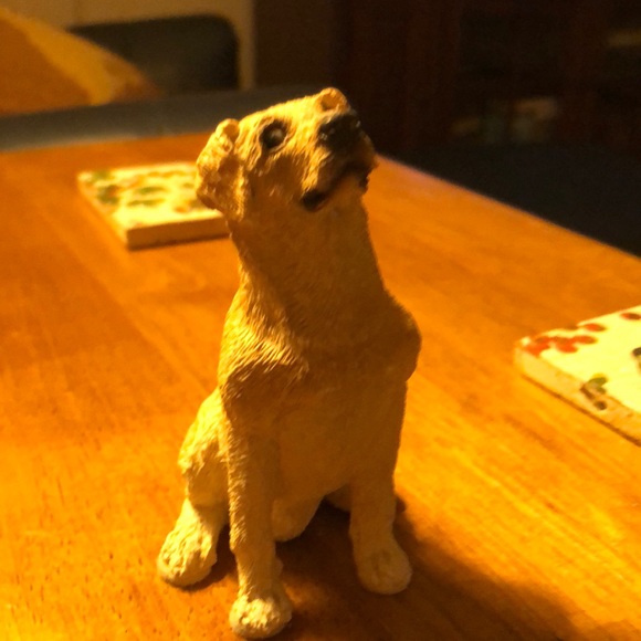 Meet your Posher, David - Picture 1 of 1